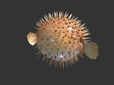  Puffer fish01 Low-poly 3D model