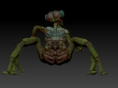 Insectorso  cartoon character  3D model