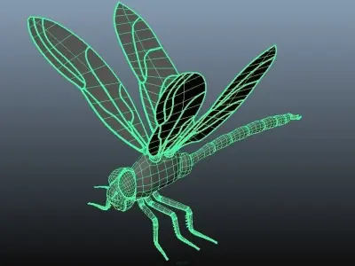 Dragonfly model - no rigging - no texture 3D model