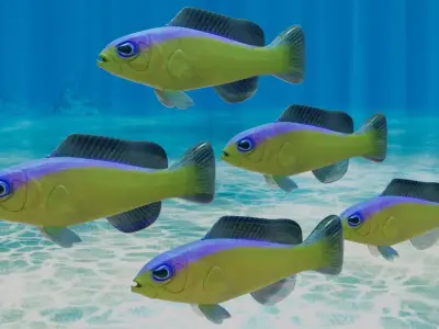 Purple Stripe Dottyback Fish 3D model