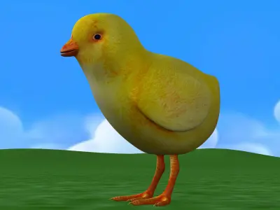 Chick bird 3D print model