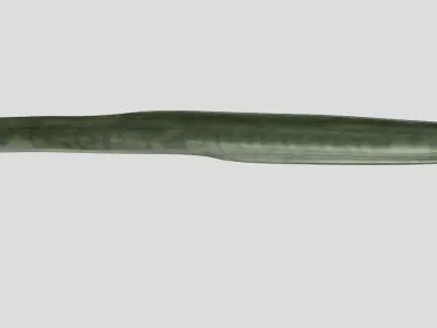 American Eel Realistic Animated Low-poly 3D model