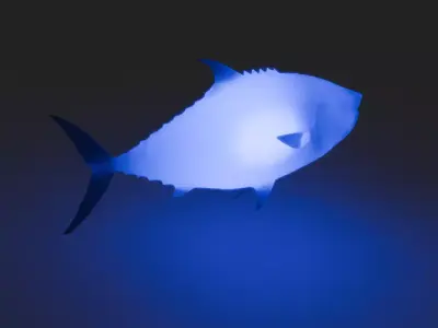 Indirect lighting for tuna 3D model