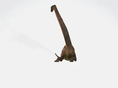 Europasaurus 3d model dinosaur with long neck 3D model