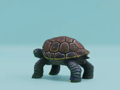 Cute Turtle Low-poly 3D model