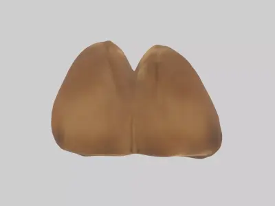 Camel Humps Low-poly 3D model