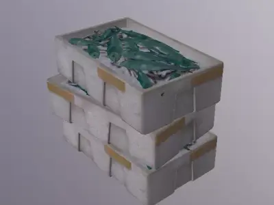 Polystyrene box with fish 02 Low-poly 3D model
