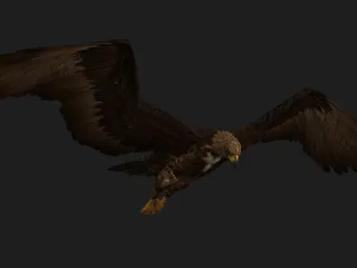 Eagle V3E 3D model