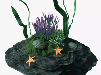 Coral rock with seaweed and starfish 3D model
