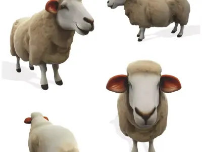 Woolly the Stylized Sheep 3D model