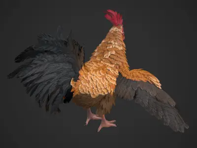 Chicken Rooster Low-poly 3D model