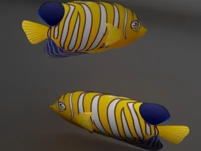 Angel Fish  Low-poly 3D model
