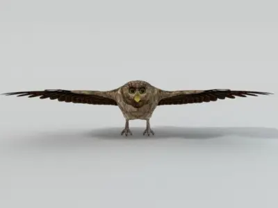Owl bird Low-poly 3D model