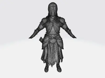 Knight ninja warrior 3D model