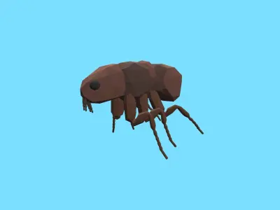 9t5 Low Poly Insects 2 Low-poly 3D model