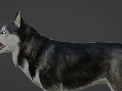 Wolf 3D dog running Low-poly 3D model