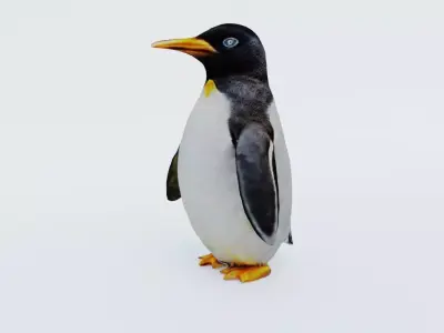 Penguin Free 3D model