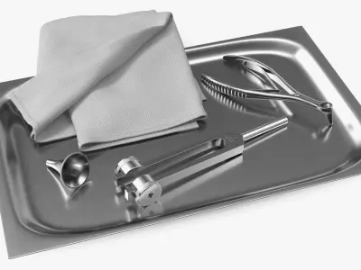 ENT Diagnostic Instrument Tray Stainless 3D model