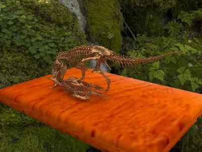 Tyrannosaurus dinosaur skeleton 3D model