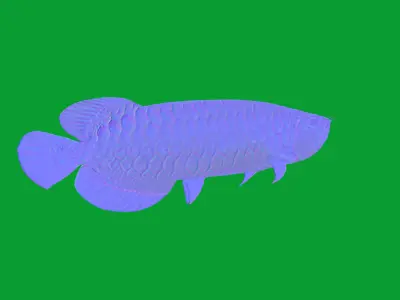 Arowana Dragon Fish Low-poly 3D model