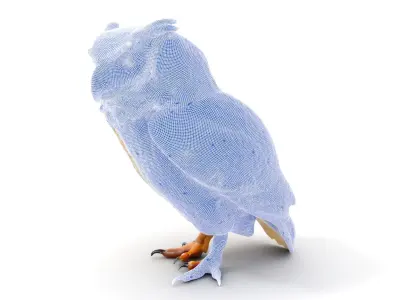 Owl Model Pack Detailed and Versatile Low-poly 3D model