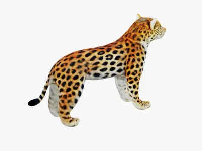 Leopard Free 3D model