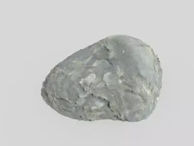 Detailed Rock Low-poly 3D model