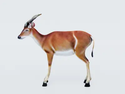 Antelope Free 3D model purchase