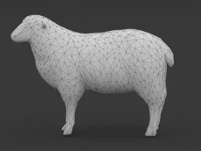 Low Poly Sheep Goat Lamb Low-poly 3D model