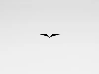 Paper Plane Pack 02 Low-poly 3D model