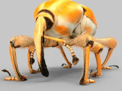 Insect Collection Vol 2 Low-poly 3D model