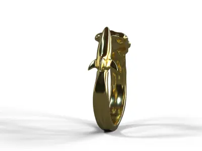 High-Quality 3D Ring Jet Model Low-poly 3D model