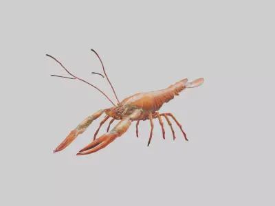 Spiny Lobster crawling model 3D model