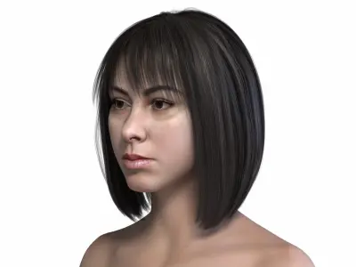 Realistic Brown Black Bob Hair with Bangs 3D Model