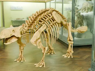 Realistic Ancient Reptilians Fossil - Ankylosaurus Low-poly 3D model