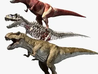 T Rex Anatomy 3D