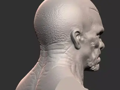 Alien Creature Head Bust STL  High Detail Resin 3D Print Model 3D print model