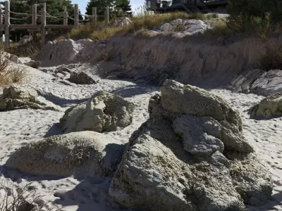  Lichen Covered Beach Rock Cluster Model 