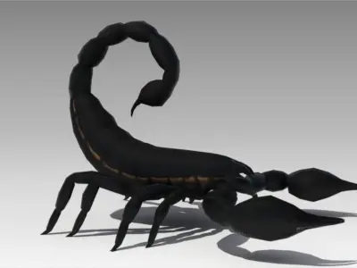 Black Scorpion Low-poly 3D model