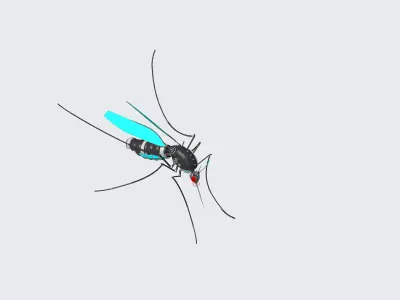 Mosquito robot 3D model