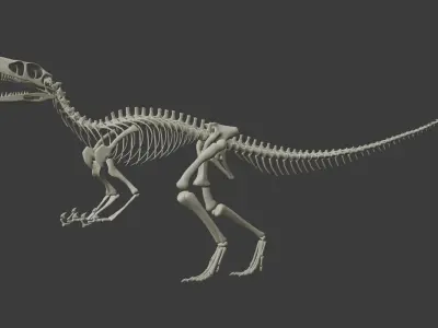Dinosaur Skeleton Free 3D model