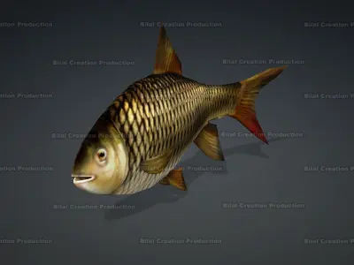 FISH ANIMATED Low-poly 3D model