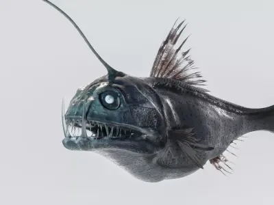 Angler Deep Sea Fish 3D model