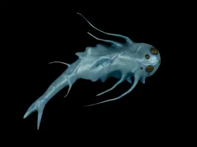 Quilles Microbe Organism Low-poly 3D model