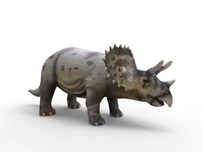 Realistic Triceratops 3D Models game ready Low-poly 3D model