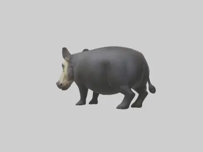 Brazilian Tapir resting model 3D model