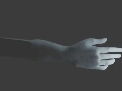 a man hand 3D model