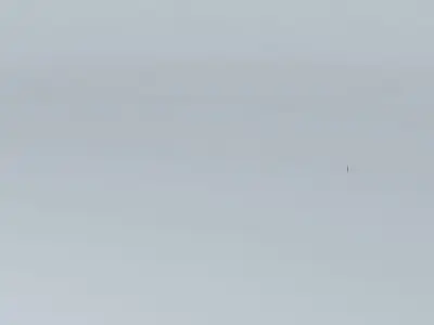 REGA base Belp-Bern Free 3D model