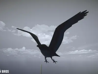 Cartoon birds - big animation pack Low-poly 3D model