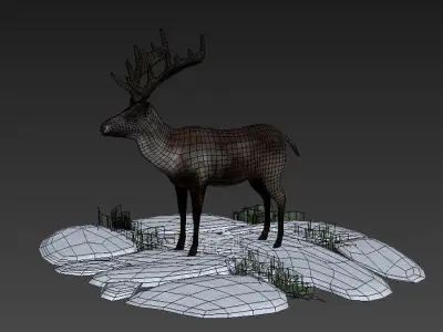 Reindeer Stag elk Northern Hemisphere animal Arctic  3D model